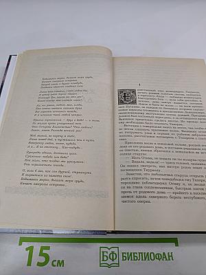 Спутники Волкодава