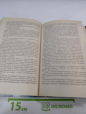 Спутники Волкодава