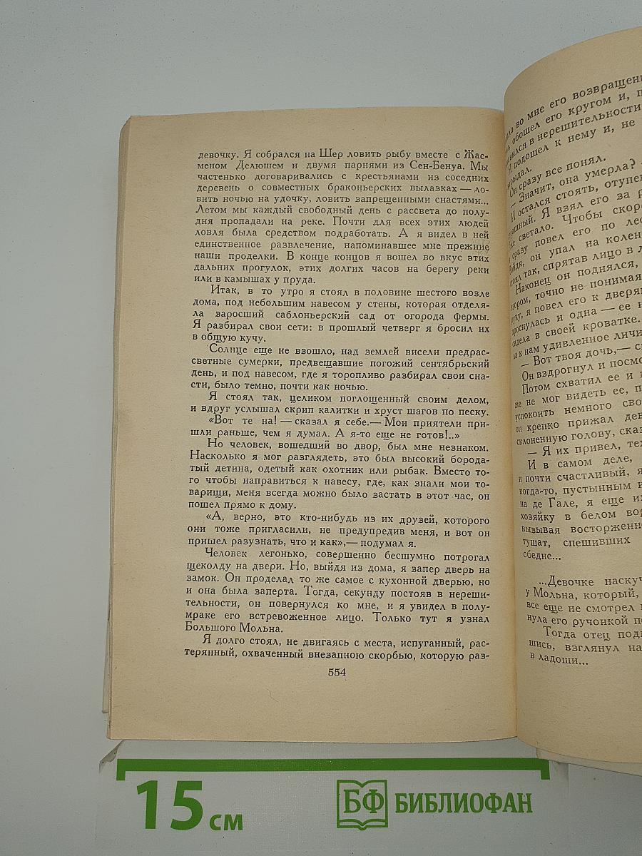 Жан Сбогар. Ученик. Большой Мольн