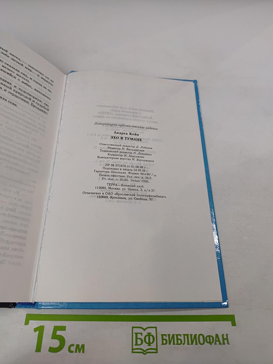 Эхо в тумане