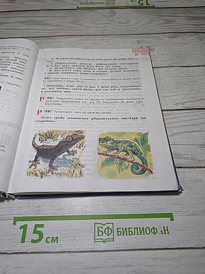 Русский язык. 6 класс. Часть 1