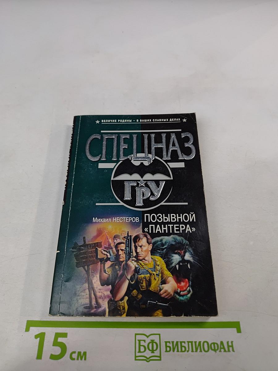 Позывной «Пантера»