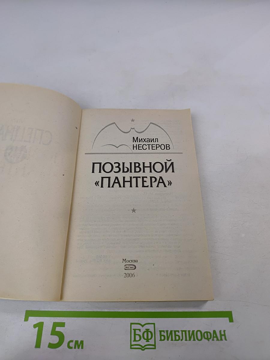 Позывной «Пантера»