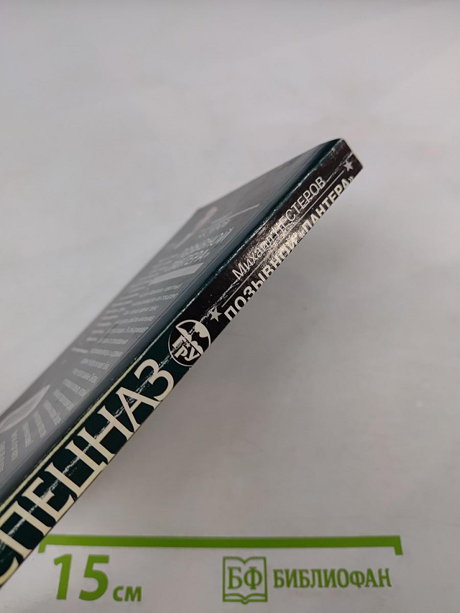 Позывной «Пантера»