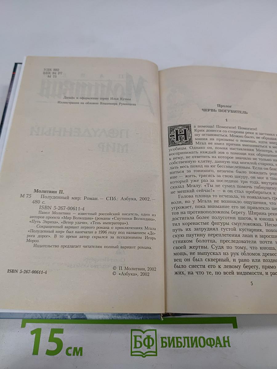 Полуденный мир