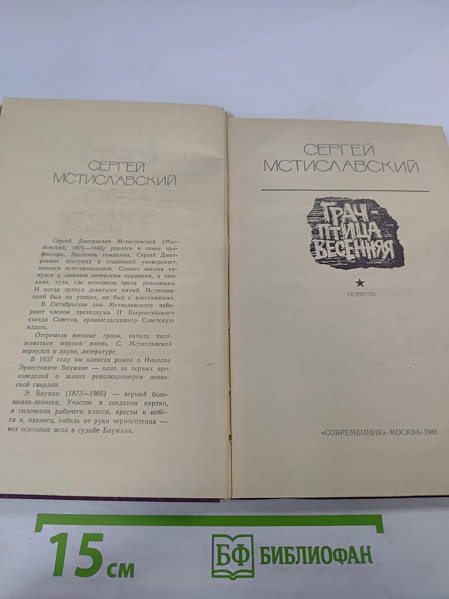 Грач - птица весенняя