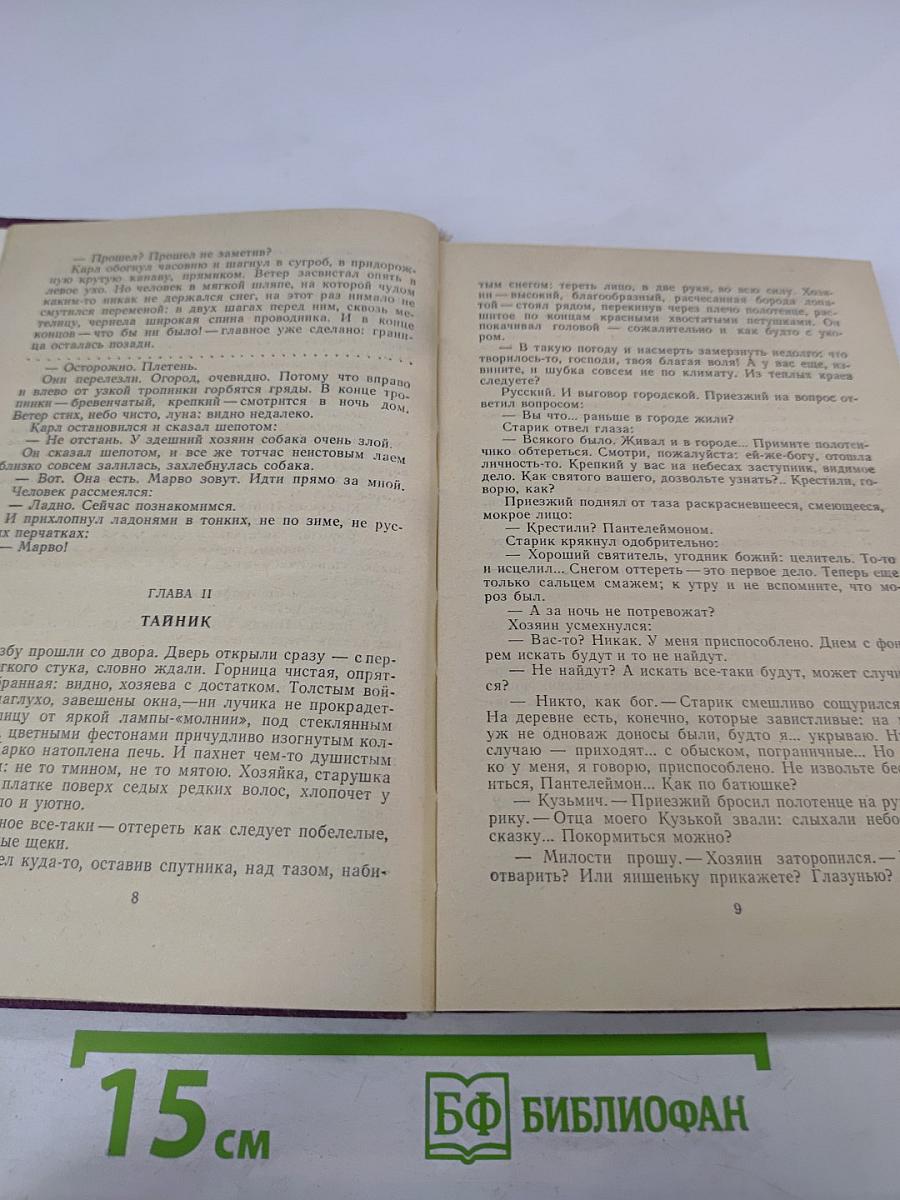 Грач - птица весенняя