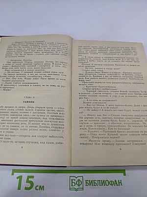 Грач - птица весенняя