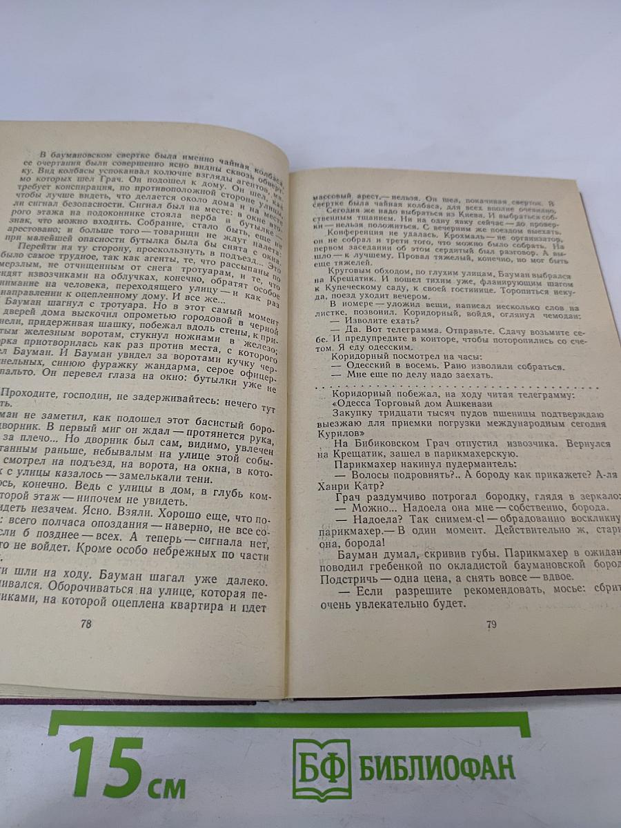 Грач - птица весенняя