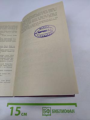 Грач - птица весенняя