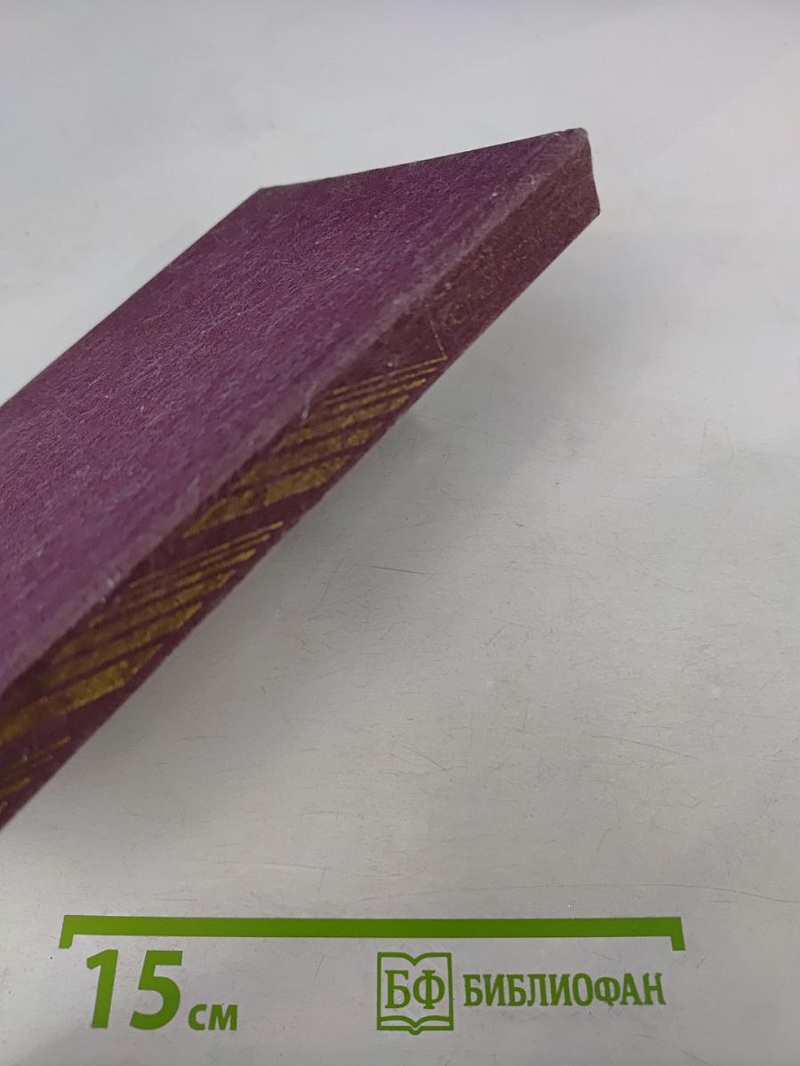 Грач - птица весенняя