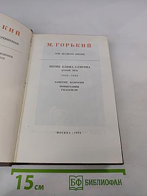 Жизнь Клима Самгина. Заметки, наброски, примечания, указатели. Том 25