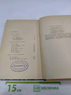 День жаворонка