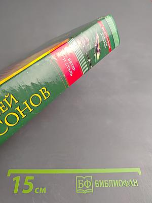 Ветер и сталь