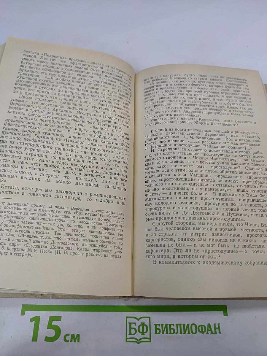 Неевклидовы параллели: Хроника последних лет жизни Федора Михайловича Достоевского и некоторых его современников