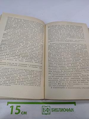 Неевклидовы параллели: Хроника последних лет жизни Федора Михайловича Достоевского и некоторых его современников
