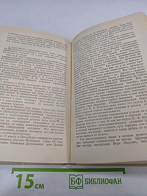 Неевклидовы параллели: Хроника последних лет жизни Федора Михайловича Достоевского и некоторых его современников
