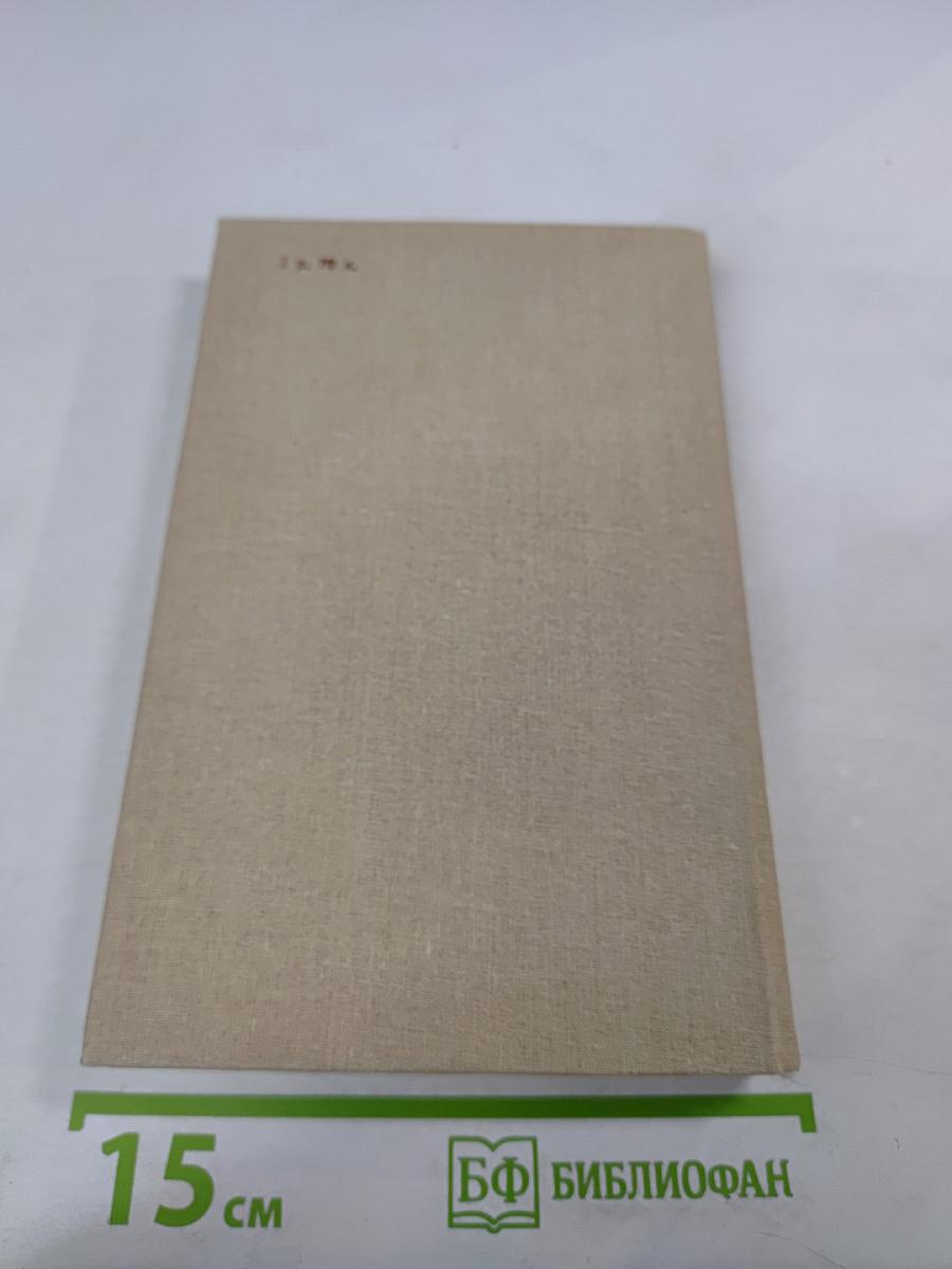 Неевклидовы параллели: Хроника последних лет жизни Федора Михайловича Достоевского и некоторых его современников