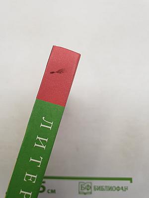Литература 7 класс. Часть 2