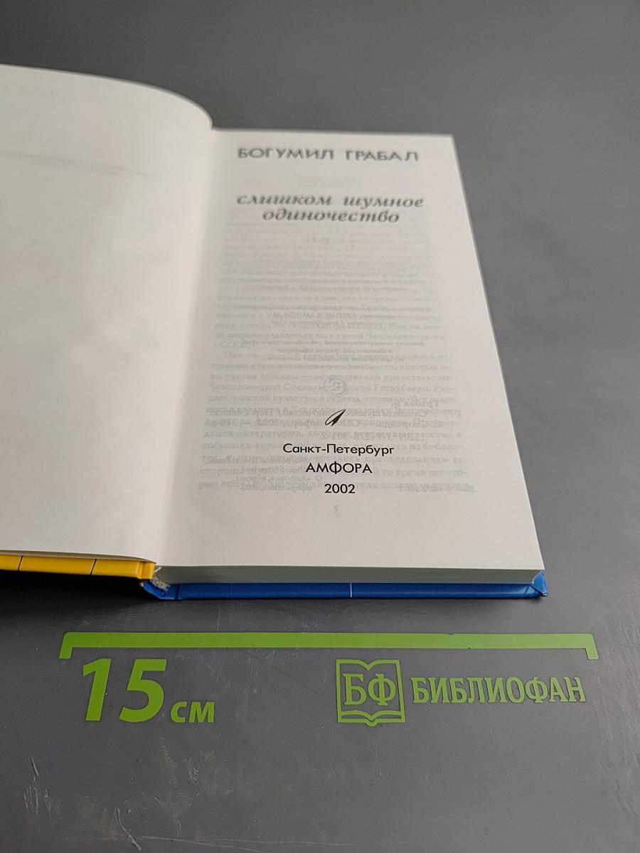 Слишком шумное одиночество