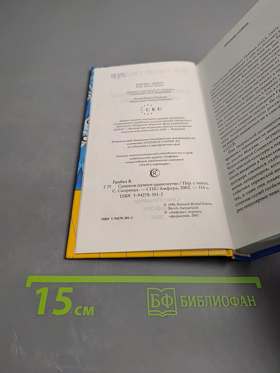 Слишком шумное одиночество