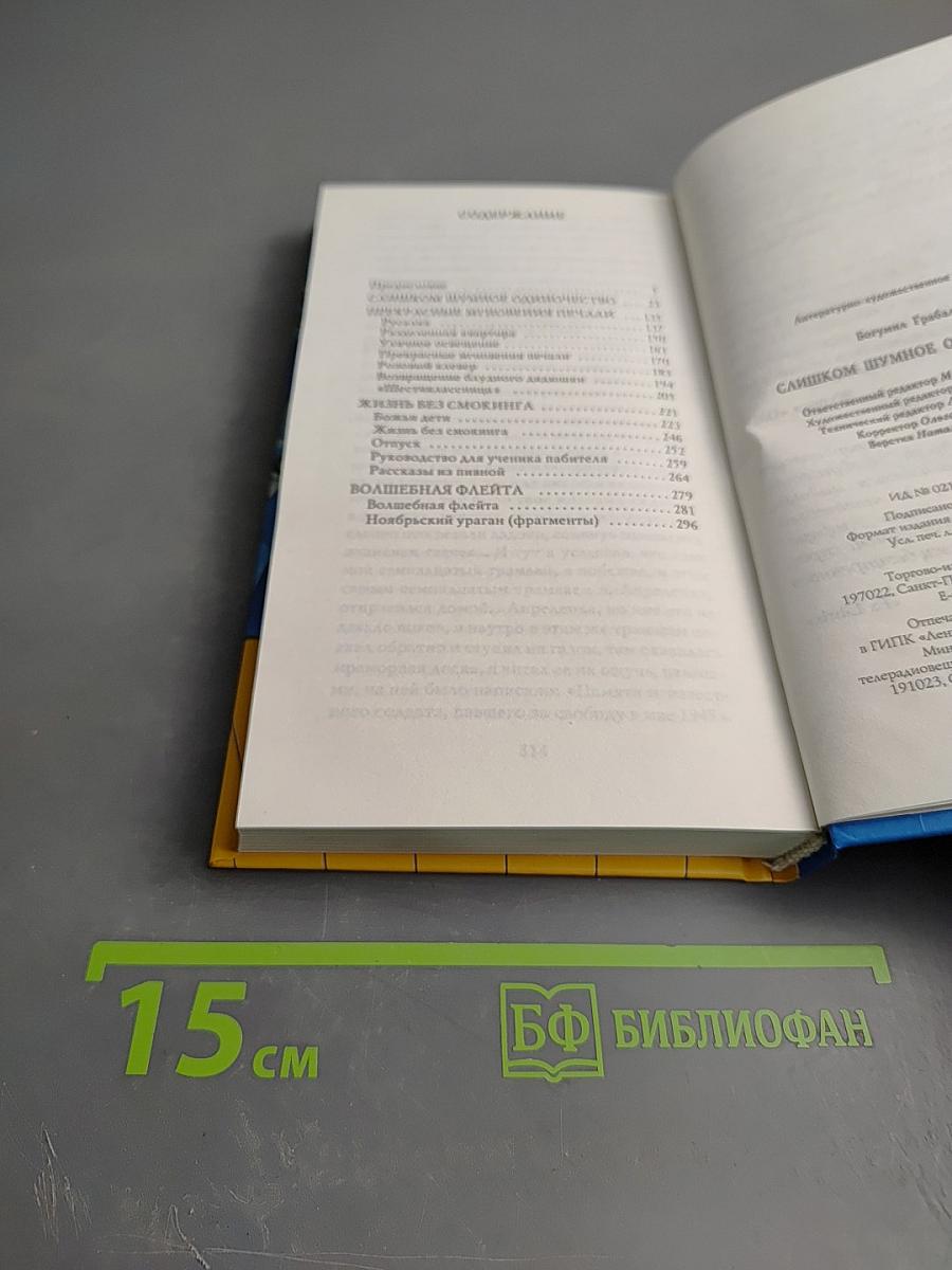 Слишком шумное одиночество