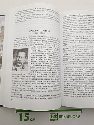 Литература. 11 класс. Часть 1