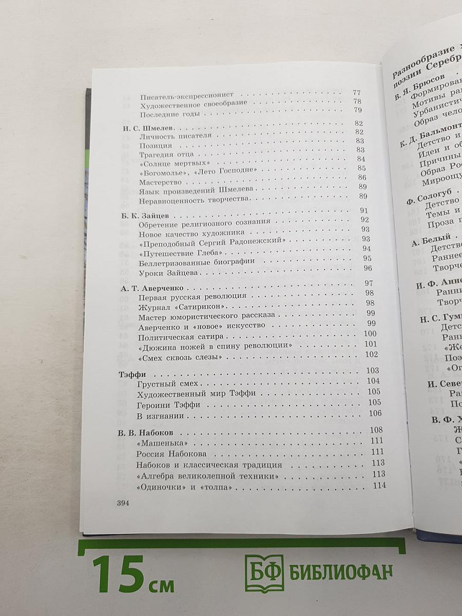 Литература. 11 класс. Часть 1