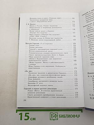 Литература. 11 класс. Часть 1
