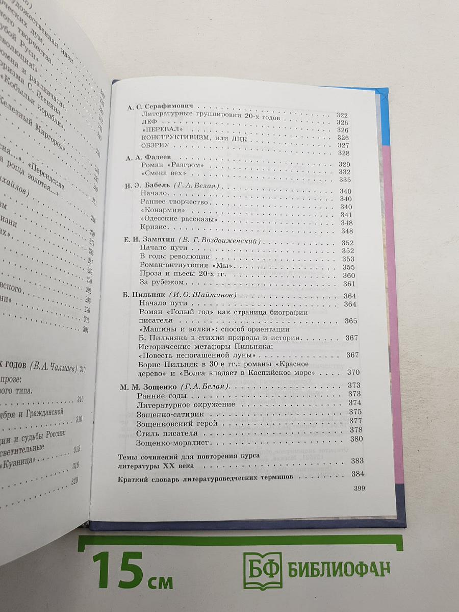 Литература. 11 класс. Часть 1