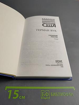 Городской мальчик