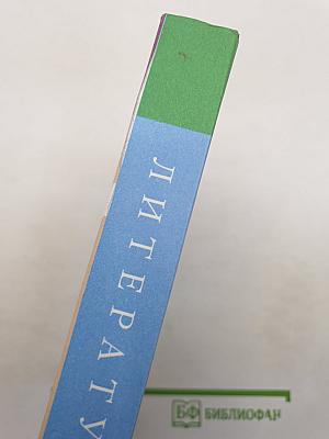 Литература. Часть 1. 10 класс