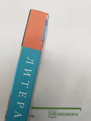 Литература. 6 класс. Учебник. Часть 1