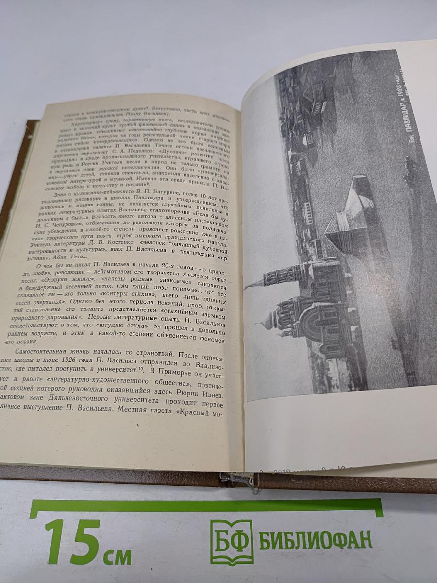 Воспоминания о Павле Васильеве