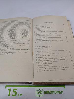 Воспоминания о Павле Васильеве