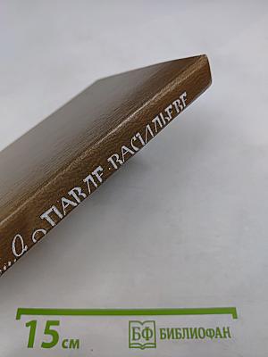 Воспоминания о Павле Васильеве