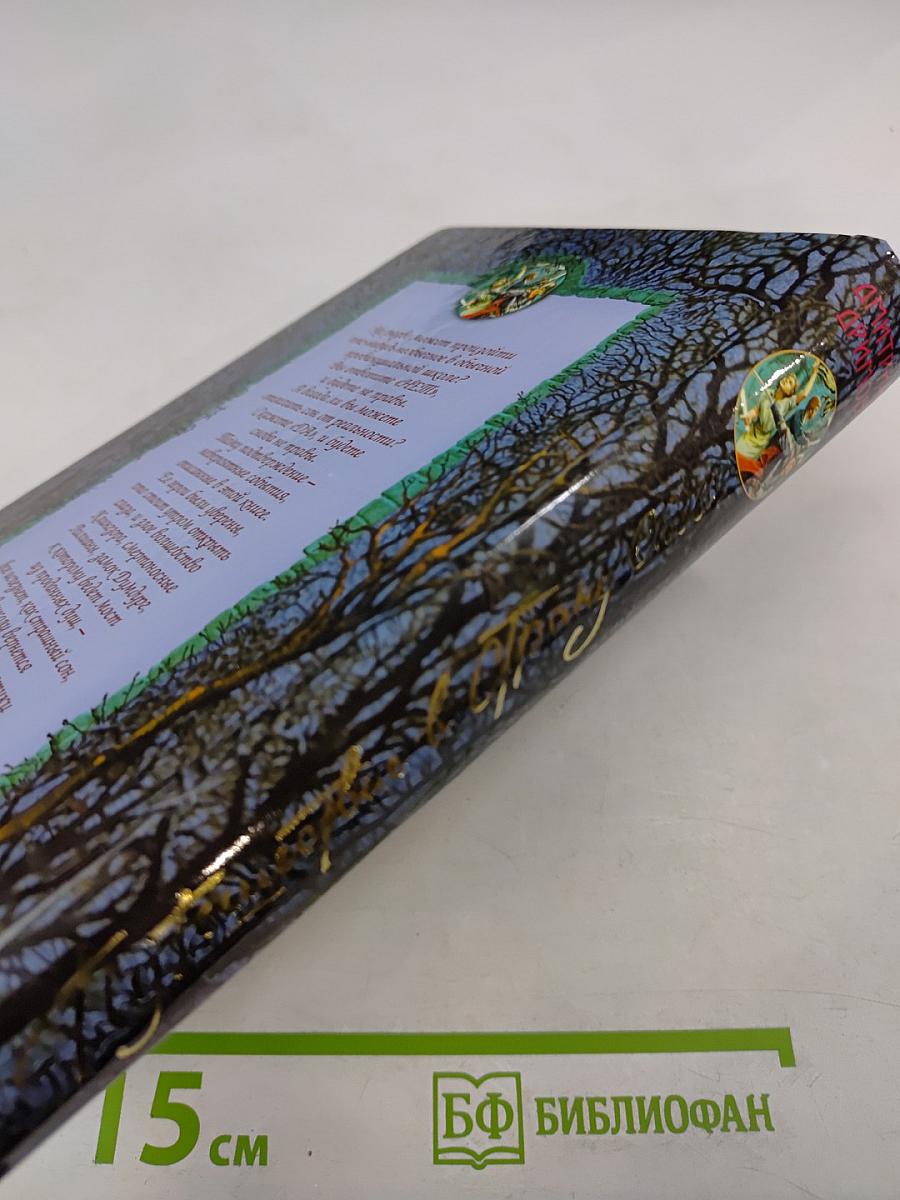 Путешествие в Страну Снов