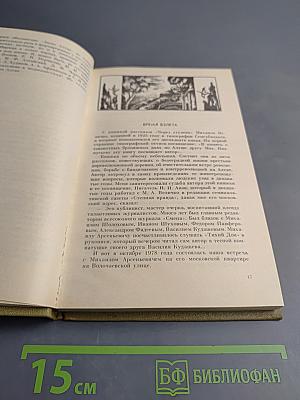 Под небом Алтая