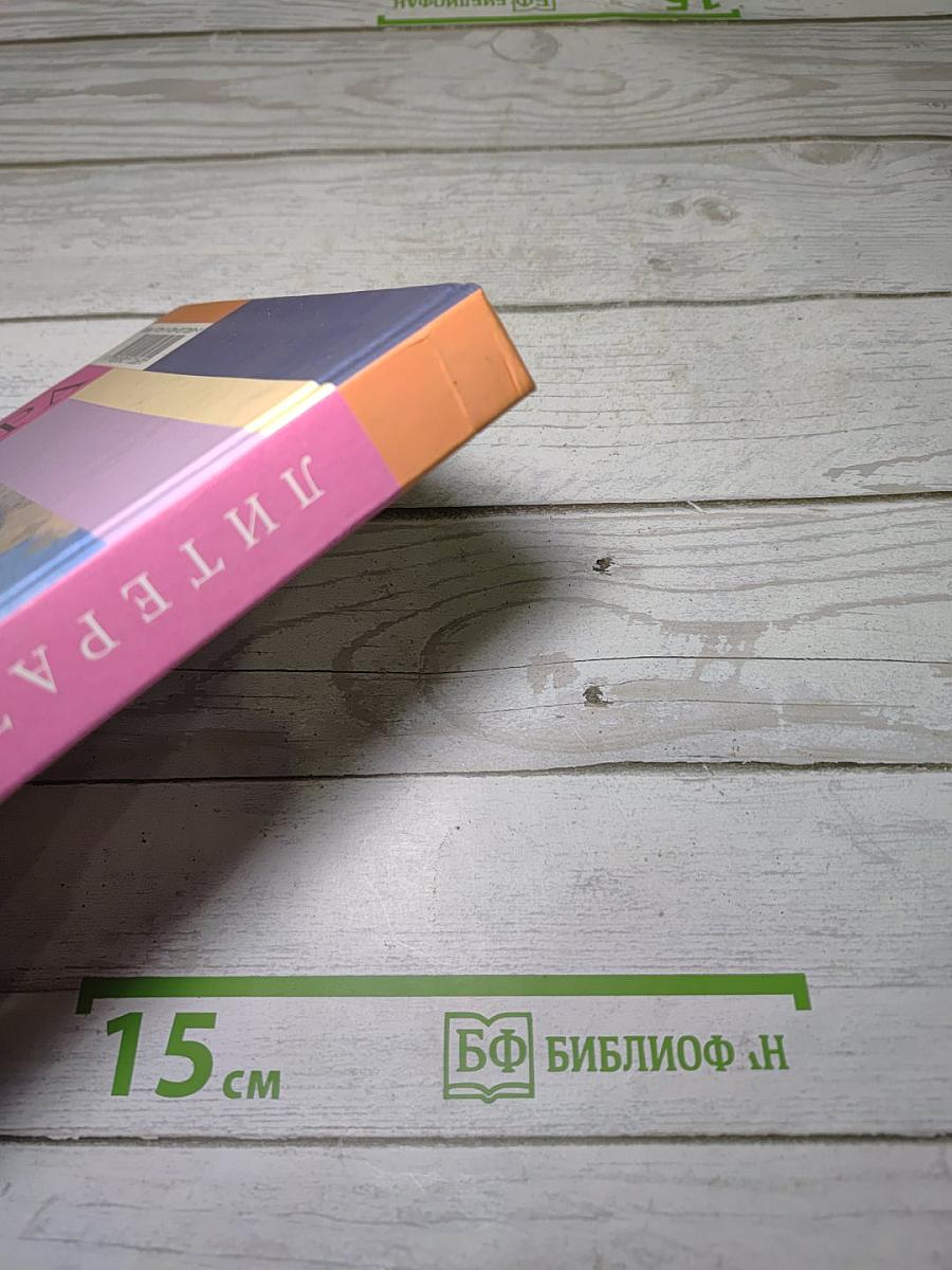 Литература. 8 класс. Учебник. Часть 2