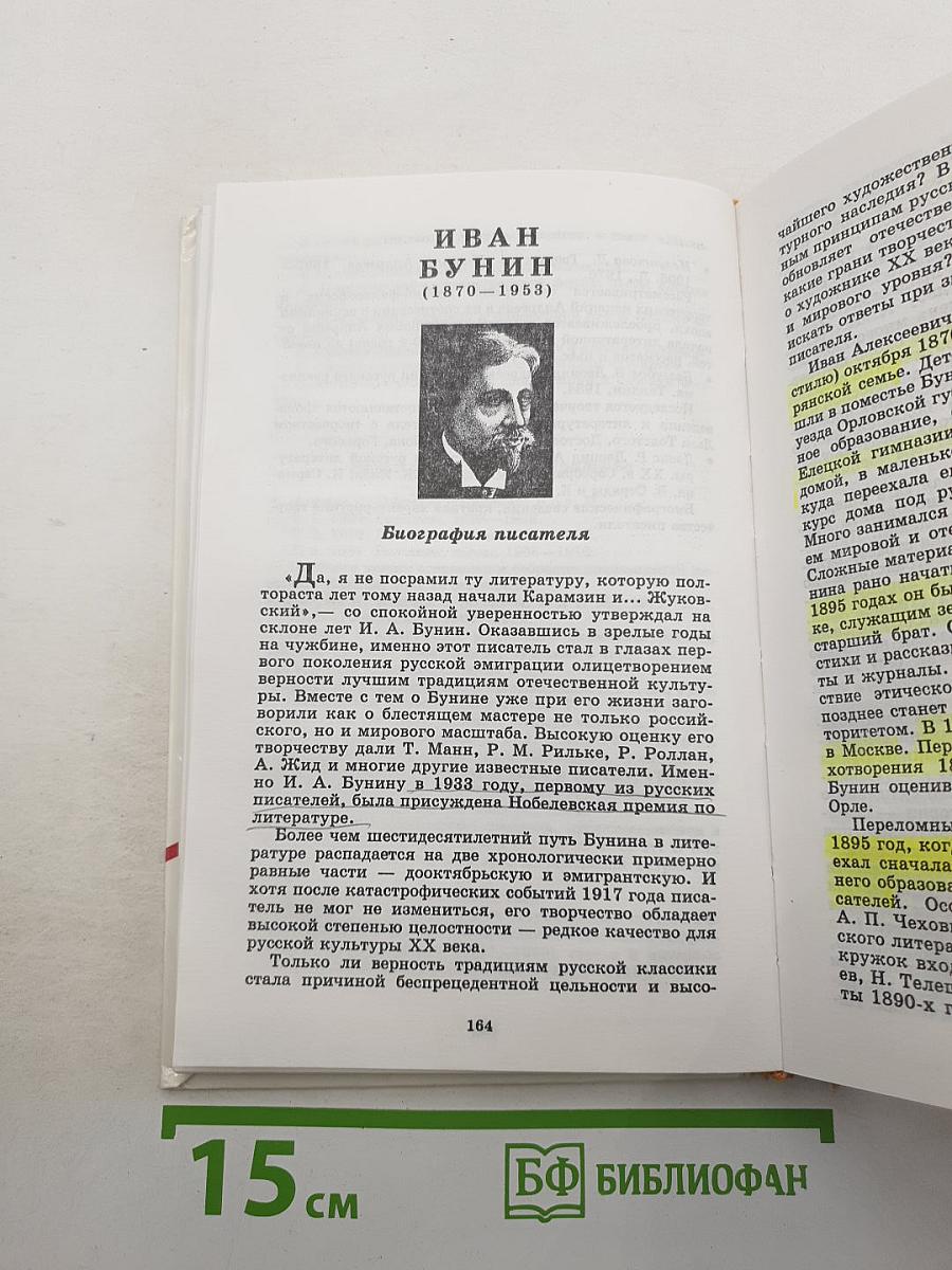 Русская литература XX века. 11 класс. Часть 1