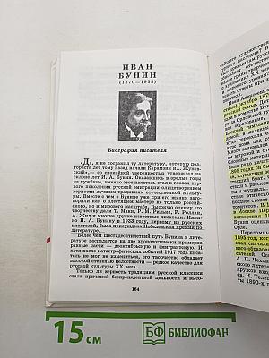 Русская литература XX века. 11 класс. Часть 1