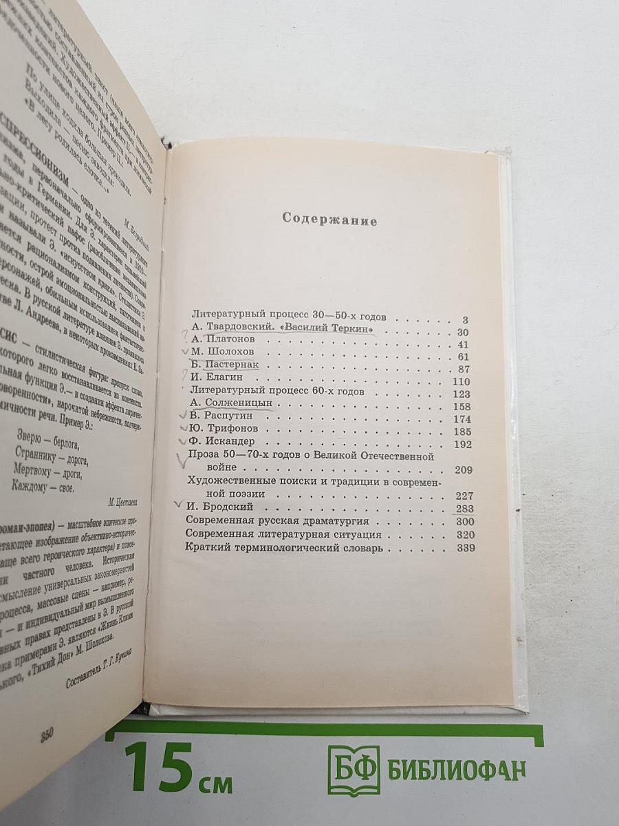 Русская литература XX века. 11 класс. Часть 2