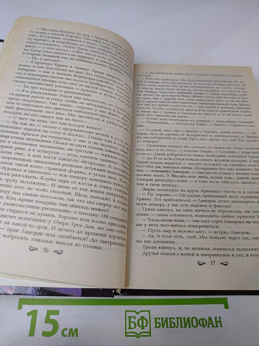 Наследник Алвисида, или Любовь опаснее меча