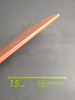 Bienvenue à Saint-Pétersbourg! Добро пожаловать в Санкт-Петербург! Учебное пособие для начинающих гидов на французском языке