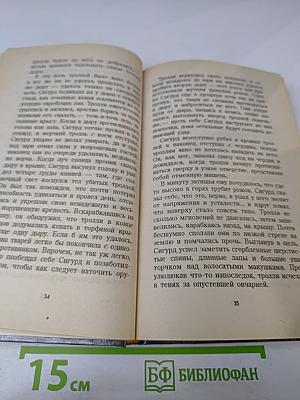 Воин и Чародей