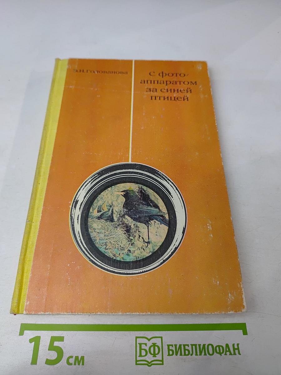 С фотоаппаратом за синей птицей