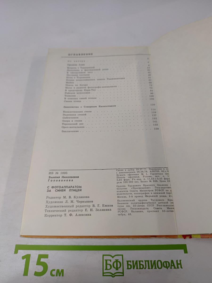 С фотоаппаратом за синей птицей