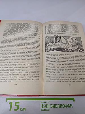 Повесть о Карле IV