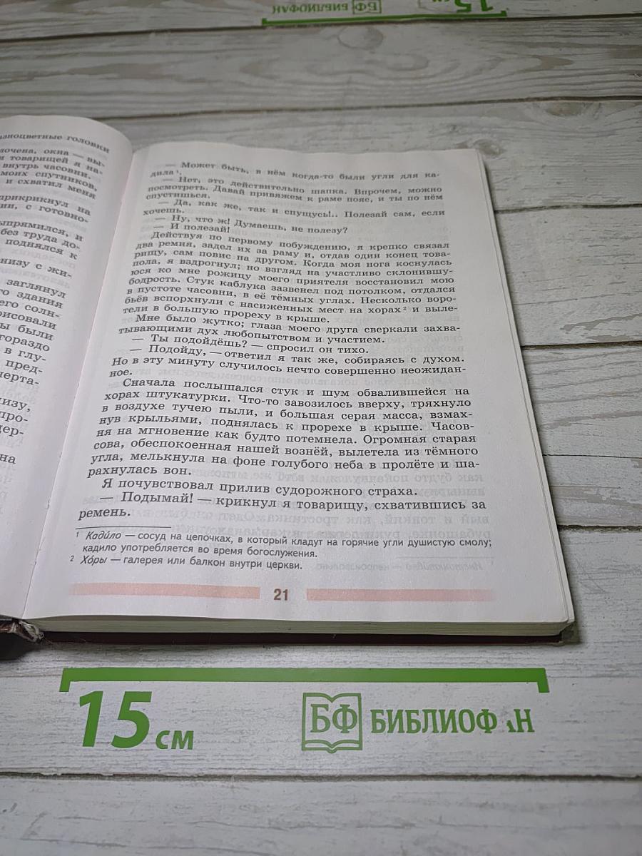 Литература. 5 класс. Учебник. Часть 2