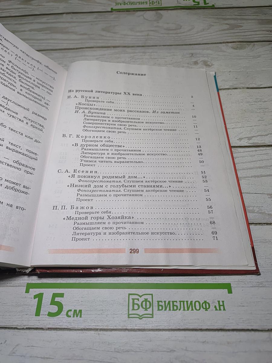 Литература. 5 класс. Учебник. Часть 2